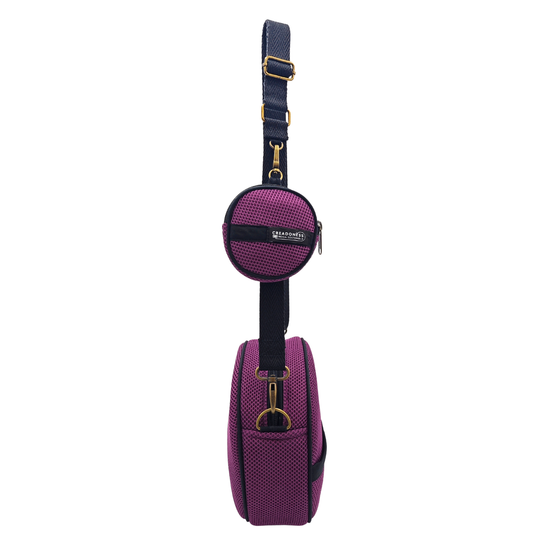 Circular Bag with Purple Purse