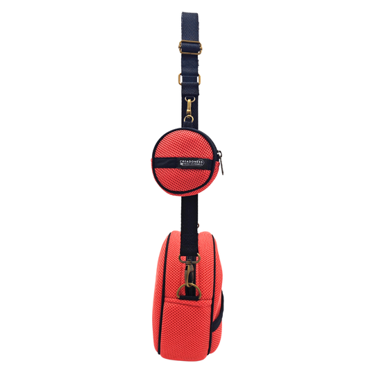 Circular Bag with Purple Purse